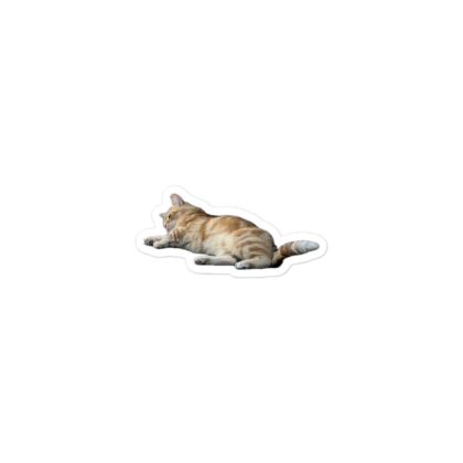 Relaxing Washy The Cat